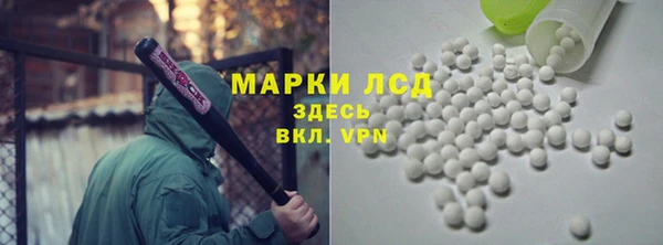 гидра Богородск