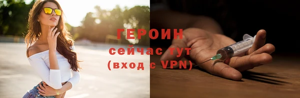 гидра Богородск