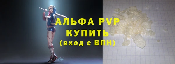 гидра Богородск