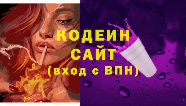 гидра Богородск