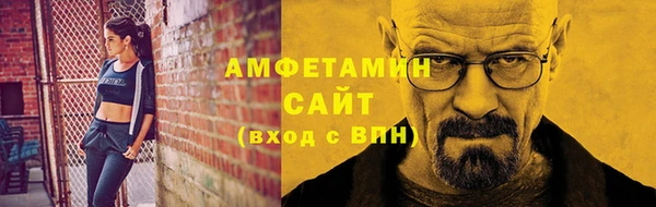 гидра Богородск