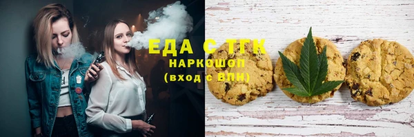 гидра Богородск